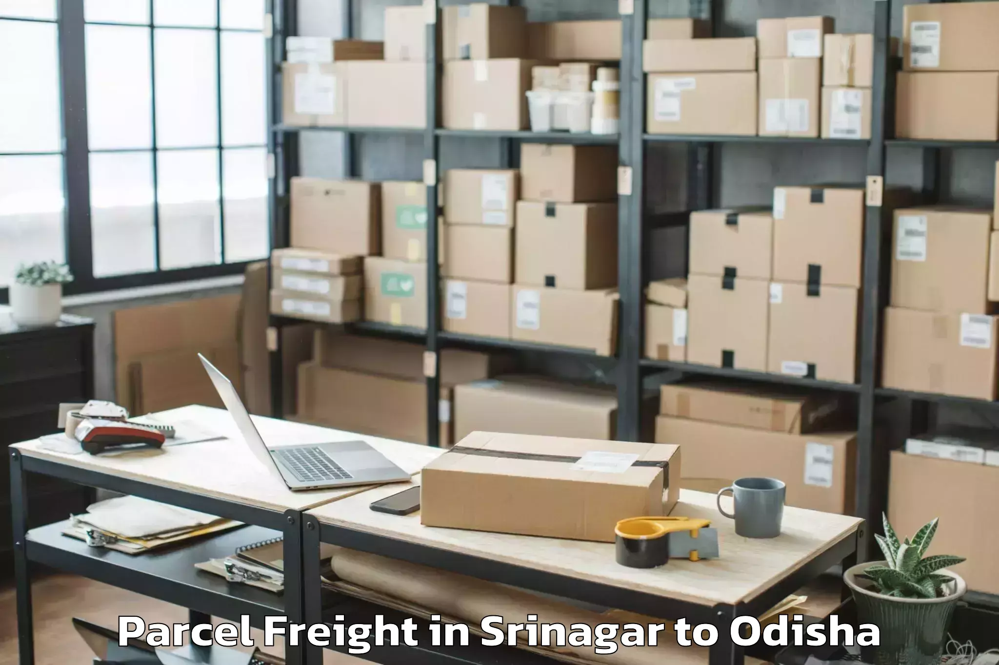 Leading Srinagar to Chhendipada Parcel Freight Provider